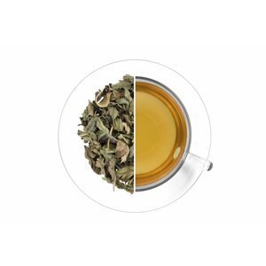 Čaj Antigrip 50g