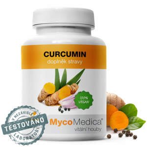 MycoMedica Curcumin v optimální koncentraci 120 tablet