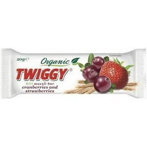 Twiggy Müsli organic s klikvou a jahodami 20 g BIO