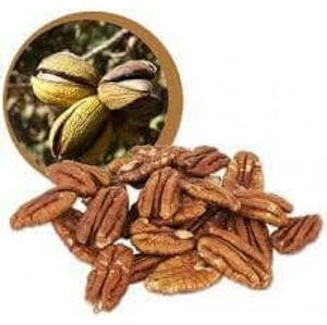Lifefood Pekanové ořechy RAW BIO 1000 g