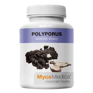 MycoMedica Polyporus 90 kapslí