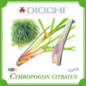 Diochi Cymbopogon citratus čaj 100 g