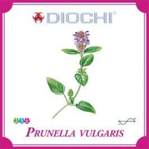 Diochi Prunella vulgaris čaj 100 g