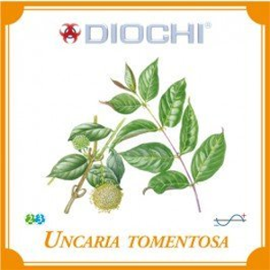 Diochi Uncaria tomentosa čaj 80 g