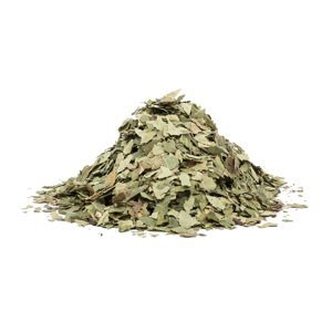 BŘÍZA LIST (Folium betulae) - bylina, 10g